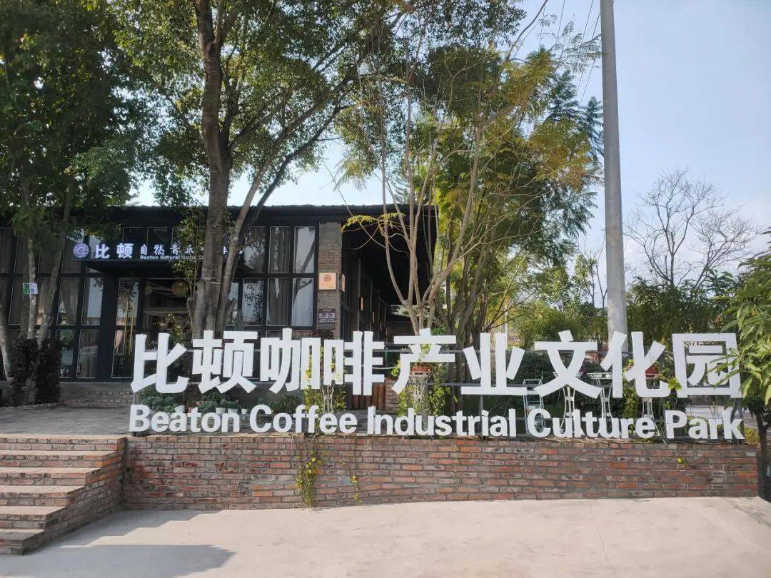 业融合发展 推动特色产业兴旺AG真人国际厅隆阳：咖啡产(图2)