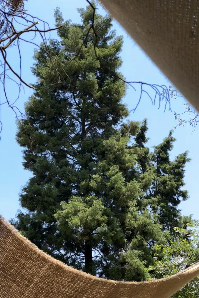 崇州「村咖指南」续AG真人娱乐网址(图13) 崇州「村咖指南」续AG真人娱乐网址(图13)