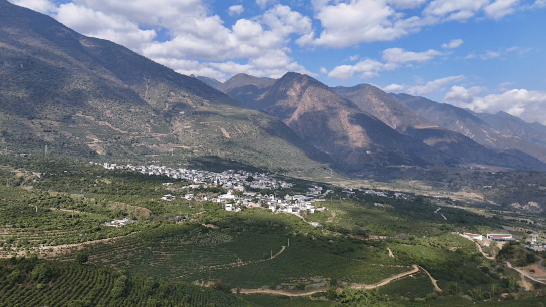 南咖啡何以代表中国AG真人云关注丨云(图2)