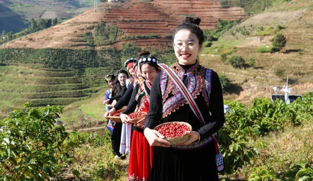 南咖啡何以代表中国AG真人云关注丨云(图5)